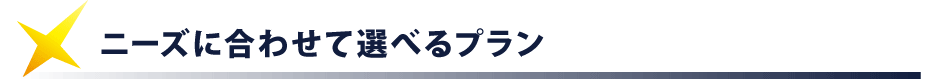 ニーズに合わせて選べるプラン