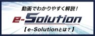 e-Solutionとは？